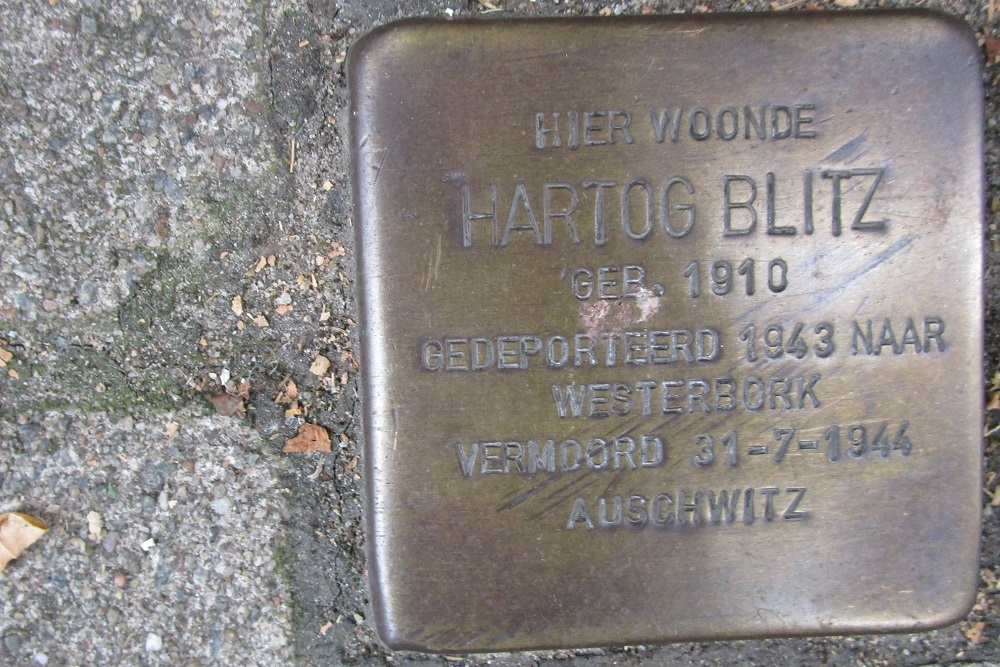 Stolpersteine Roerstraat 36-II #2