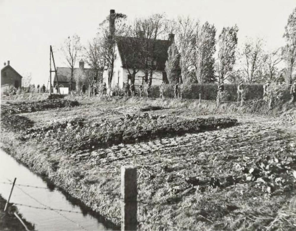 Britse oversteek over de Dintel, 2 november 1944