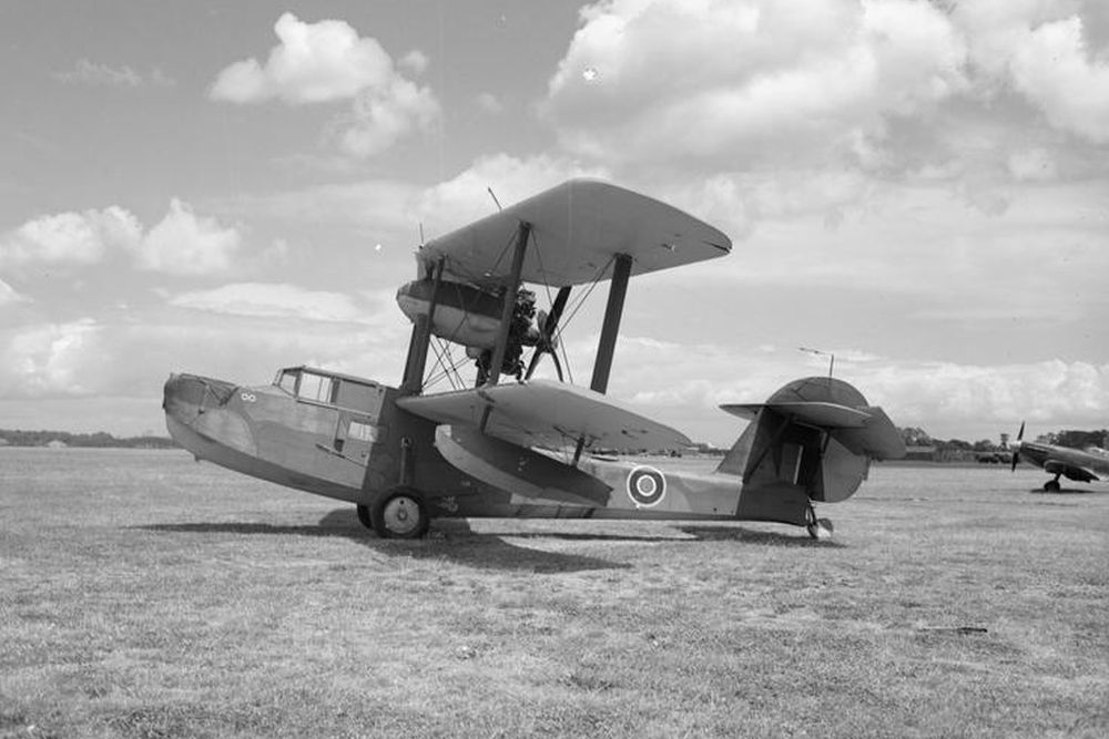 Supermarine Walrus