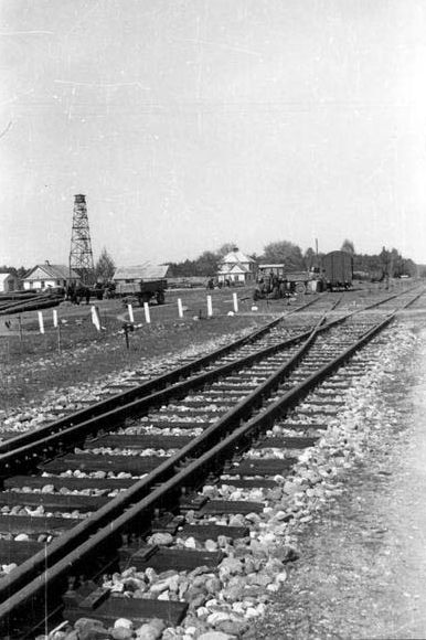Remains Of Railroad Tracks Photo ca 2005 Treblinka Concentration Camp 