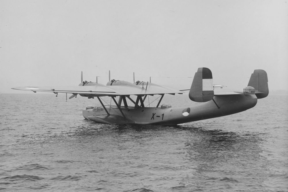 Dornier Do 24