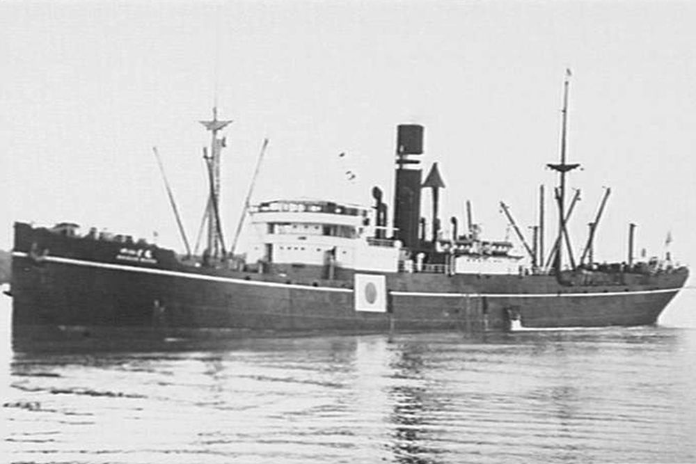 Japanse Vrachtschepen van de Hague Maru-klasse (1919)