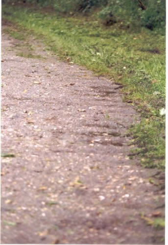 Picture: 252